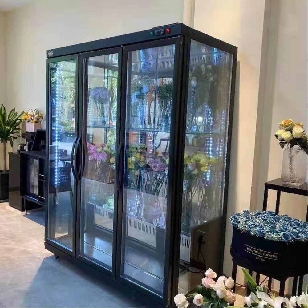 Refrigerated Display Case Flow - Refrigerated Display Case recensie en prijs