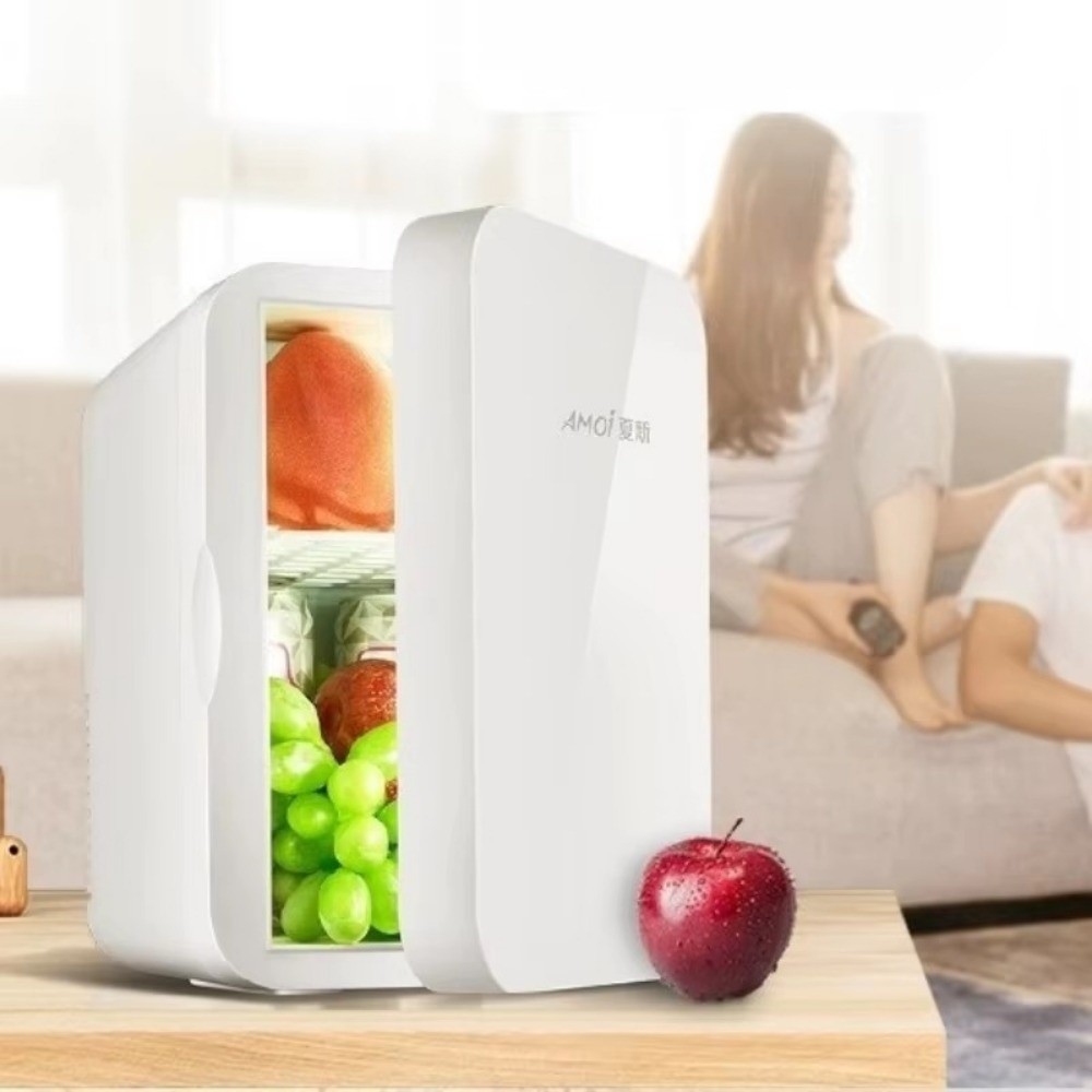 Portable 8L Mini Fridge Househ - Refrigerated Display Case recensie en prijs
